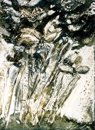 17.   - 